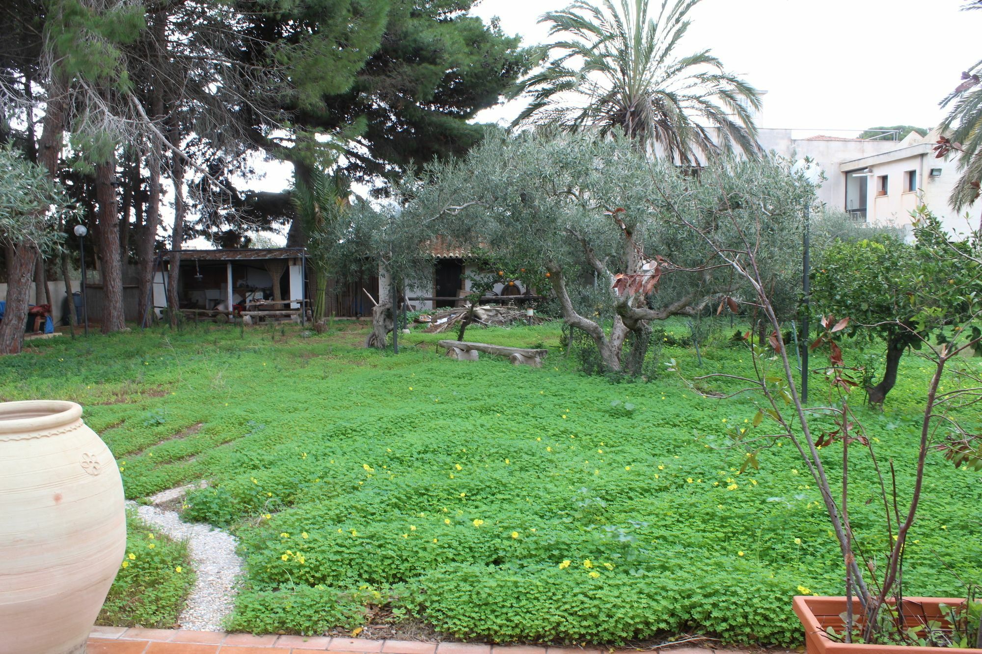 Villa Delle Nifee มาซารา เดล วัลโล ภายนอก รูปภาพ